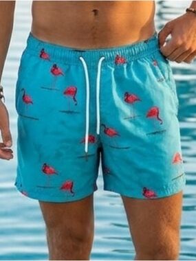 Next Swimwear